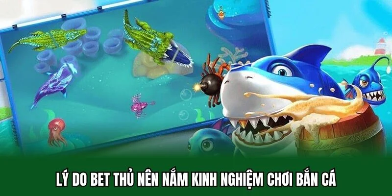 Kinh Nghiệm Chơi Bắn Cá Mà Anh Em Không Nên Bỏ Qua 2 Lý do bet thủ nên nắm kinh nghiệm chơi bắn cá